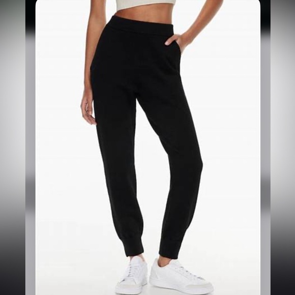 Aritzia Pants - Aritzia Babaton Sweater Jogger